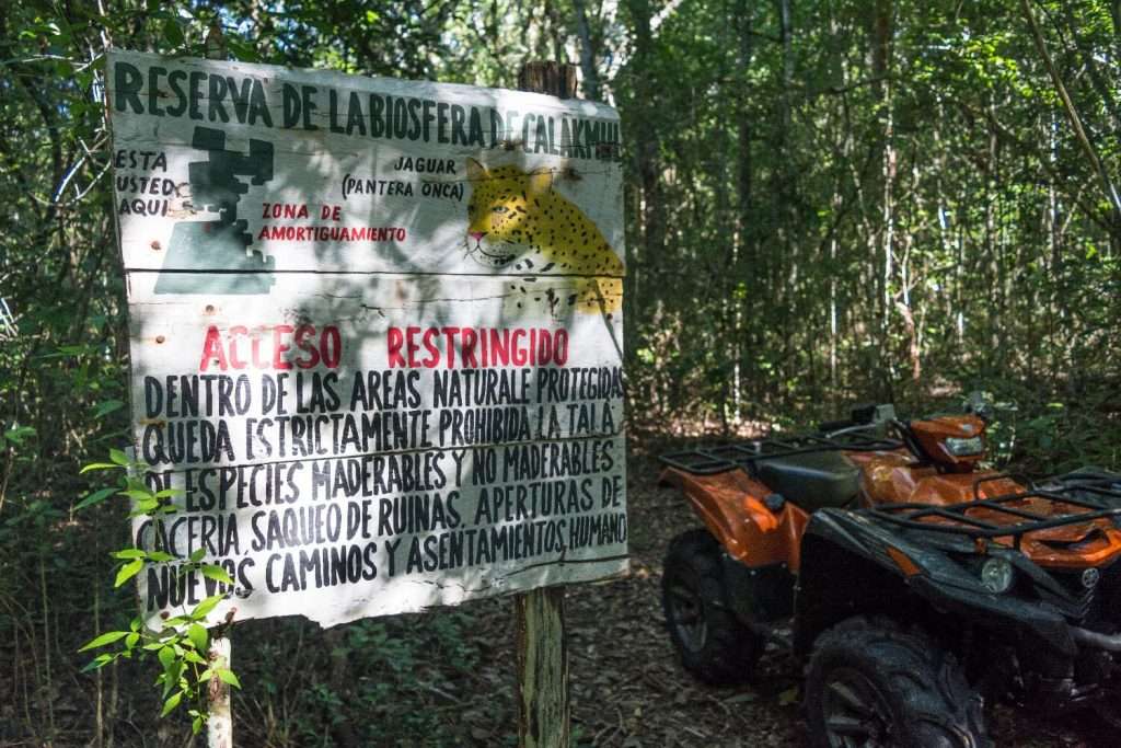 Patrullaje en la Selva Maya: La lucha contra la tala ilegal en la frontera Guatemala-México