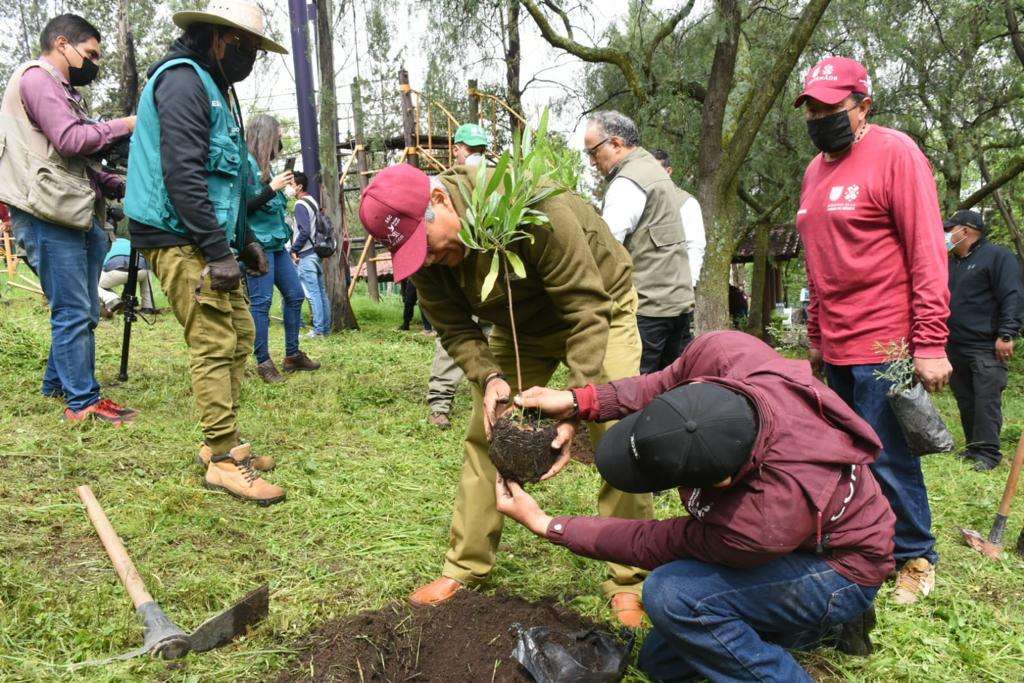 En el marco del “Día Internacional de Nelson Mandela”, SSC, SEDEMA y UNODC realizan Jornada de Reforestación en el Cerro de la Estrella