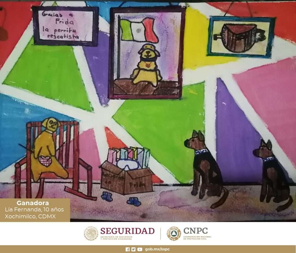 CNPC y Marina anuncian ganadores del Segundo Concurso Nacional “Dibuja la Importancia de los Perros Rescatistas”