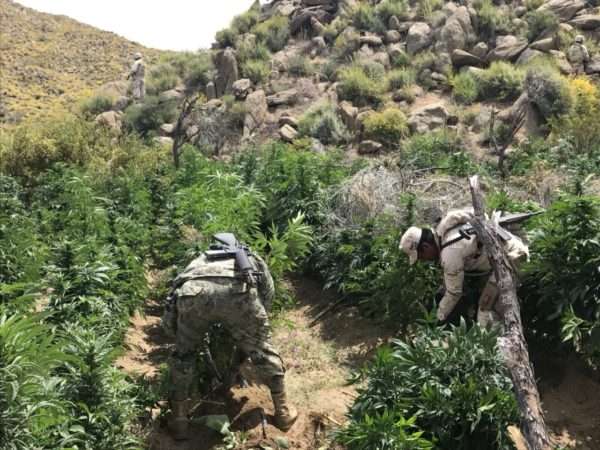 Descubren droga valuada en 40 mdp oculta en transformador