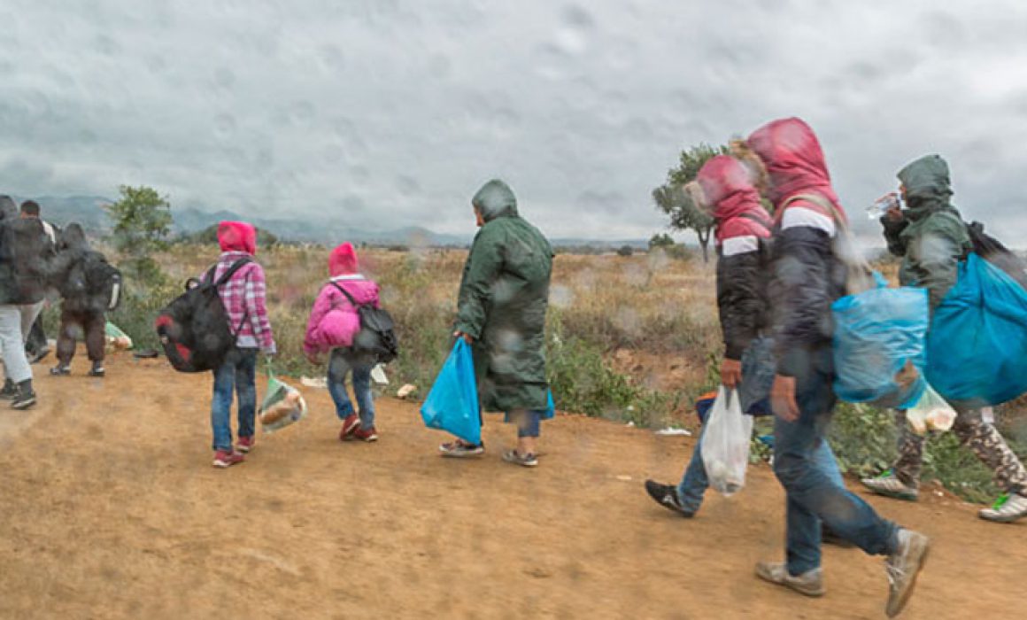 Migración