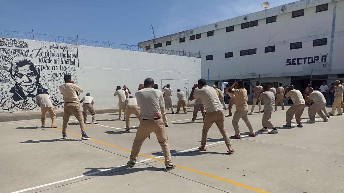 Siguen clase masiva de box casi 300 personas privadas de la libertad desde los centros de reclusión