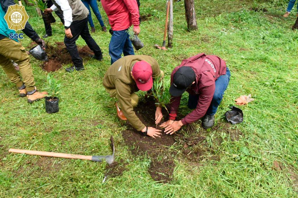 En el marco del “Día Internacional de Nelson Mandela”, SSC, SEDEMA y UNODC realizan Jornada de Reforestación en el Cerro de la Estrella