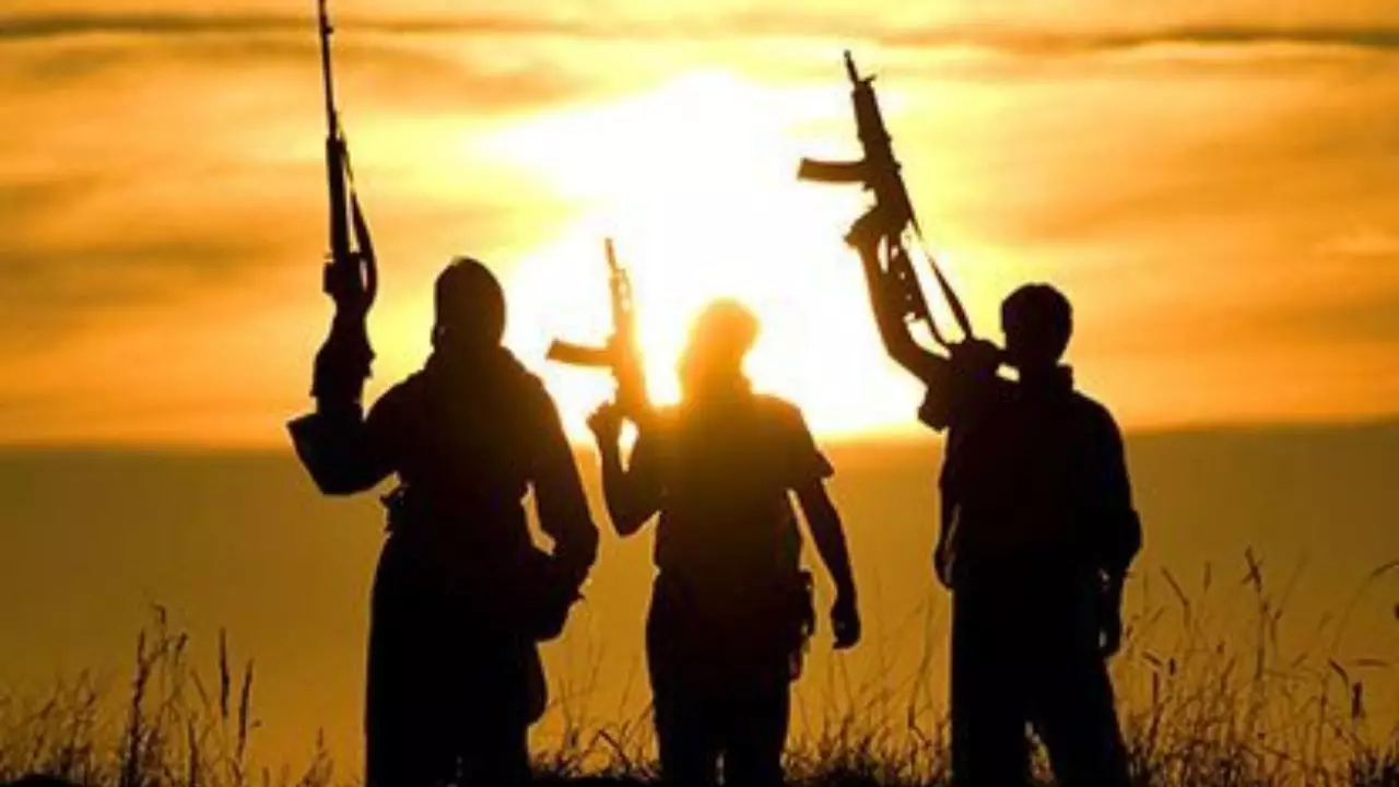 Terrorismo y Democracia
