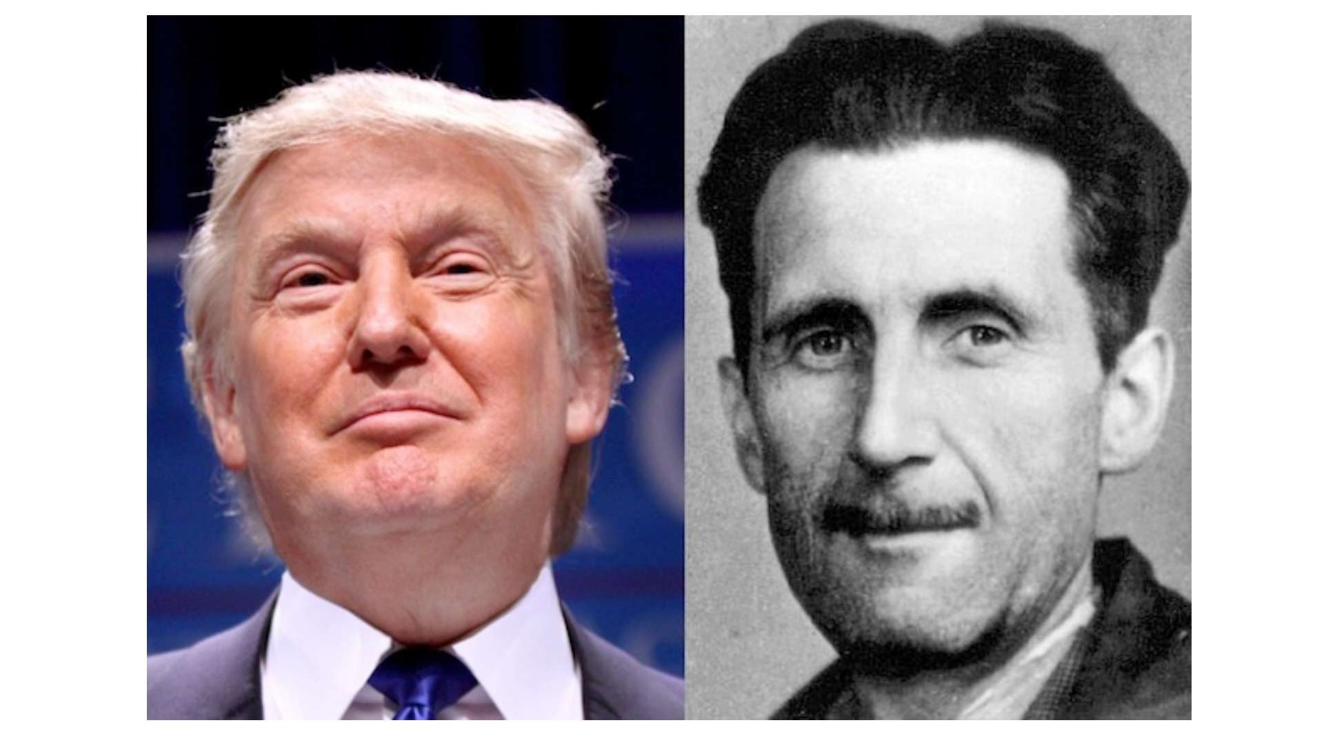 Seguridad y Defensa: Orwell en la Casa Blanca