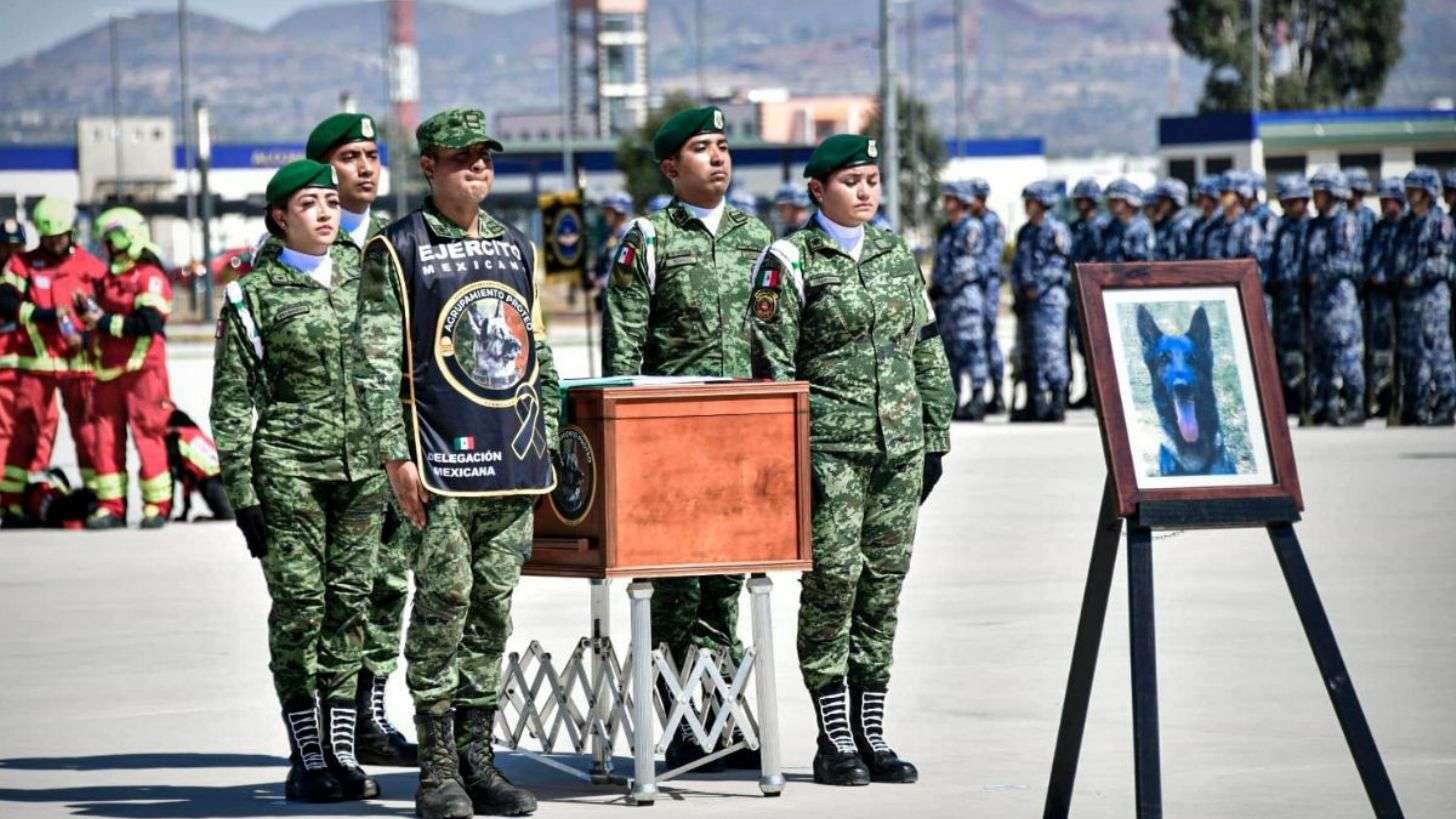 Fuerzas armadas despliegan ayuda a humanitaria y de rescate tras terremoto en Turquía