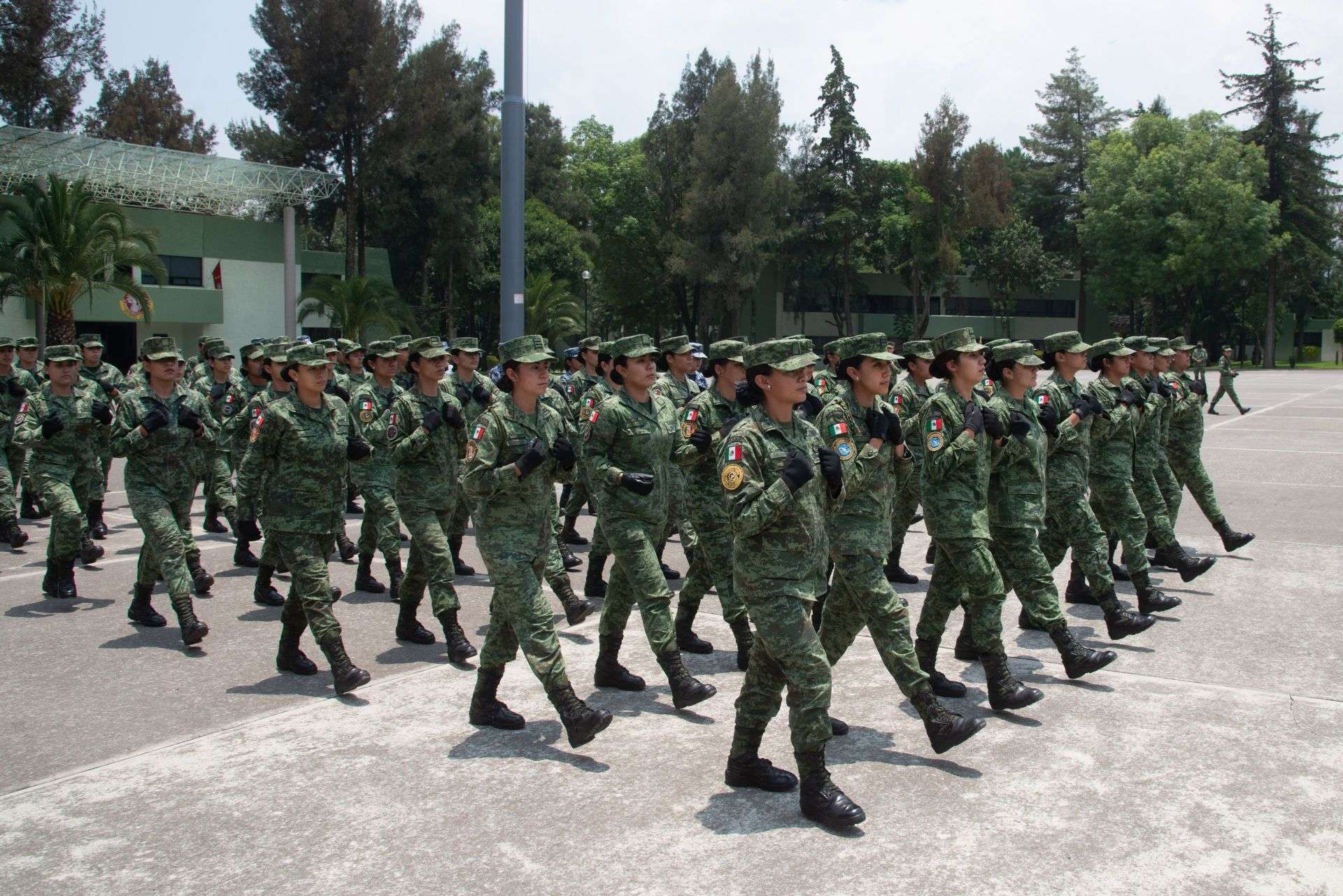 Cuando la seguridad exige nuevas decisiones: El valor de mujeres en puestos de mando